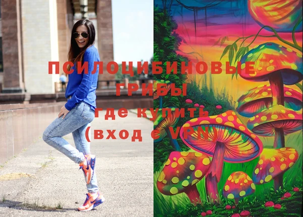 хмурый Костерёво