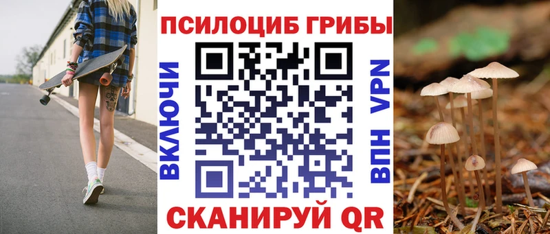 Галлюциногенные грибы Psilocybine cubensis  Спасск-Дальний 
